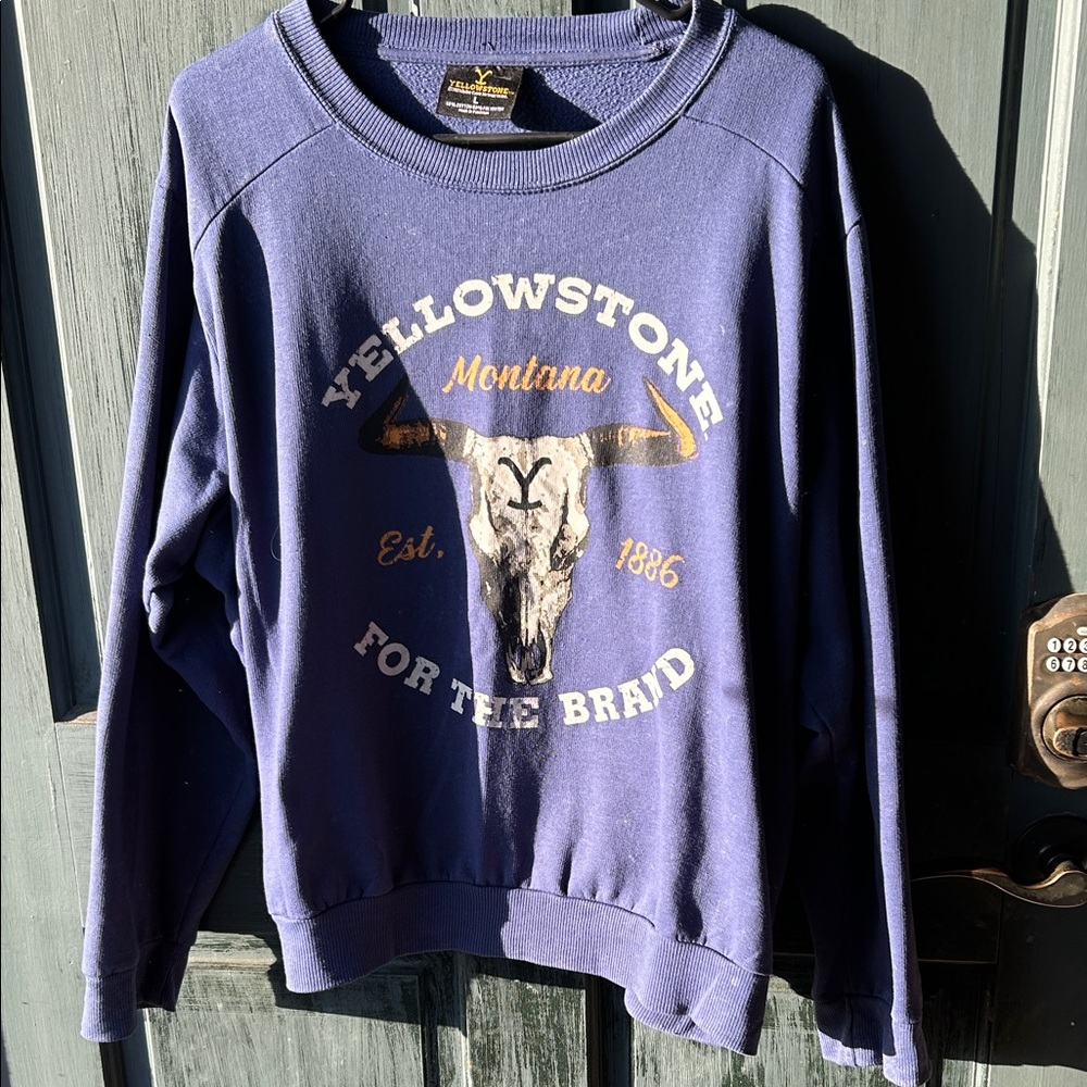 Buckle Blue Graphic Sweatshirt